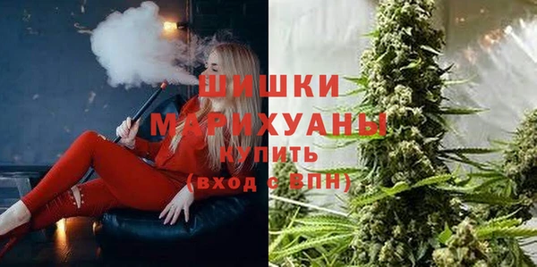 МДПВ Богородицк